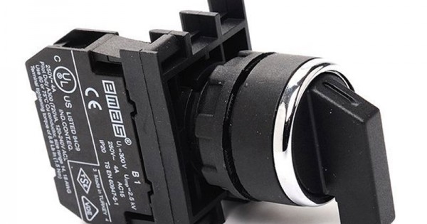 Emas B101S30 Siyah Seçici 2 NA 60 Derece Kumanda Butonu